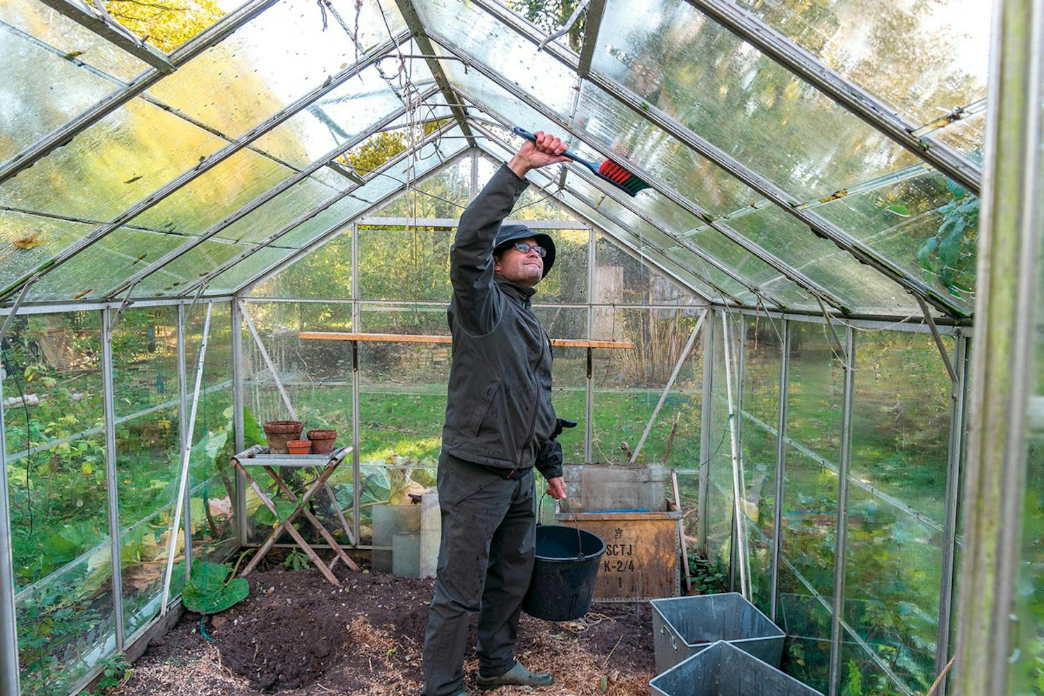 Drivhus 8 tips til det optimale drivhus